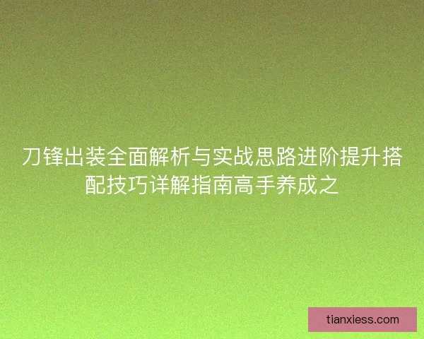 刀锋出装全面解析与实战思路进阶提升搭配技巧详解指南高手养成之