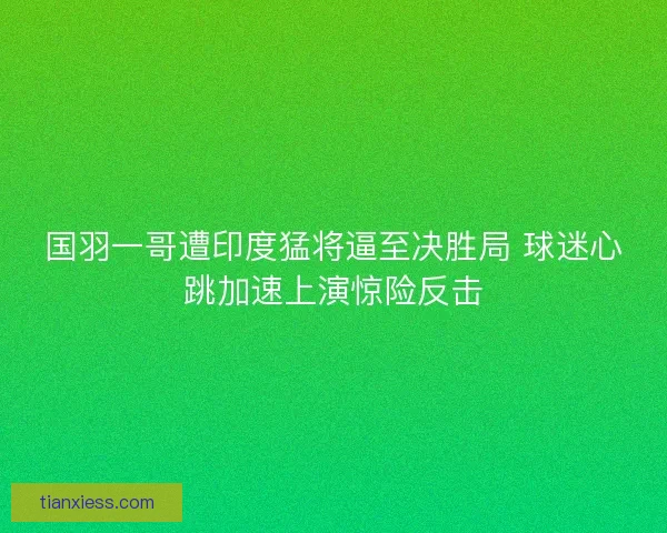 国羽一哥遭印度猛将逼至决胜局 球迷心跳加速上演惊险反击 国羽一哥遭印度猛将逼至决胜局 球迷心跳加速上演惊险反击